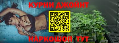 тгк Новодвинск