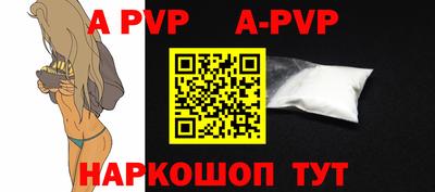 тгк Новодвинск