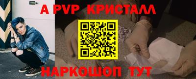 тгк Новодвинск